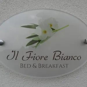 Bed & Breakfast Il Fiore Bianco