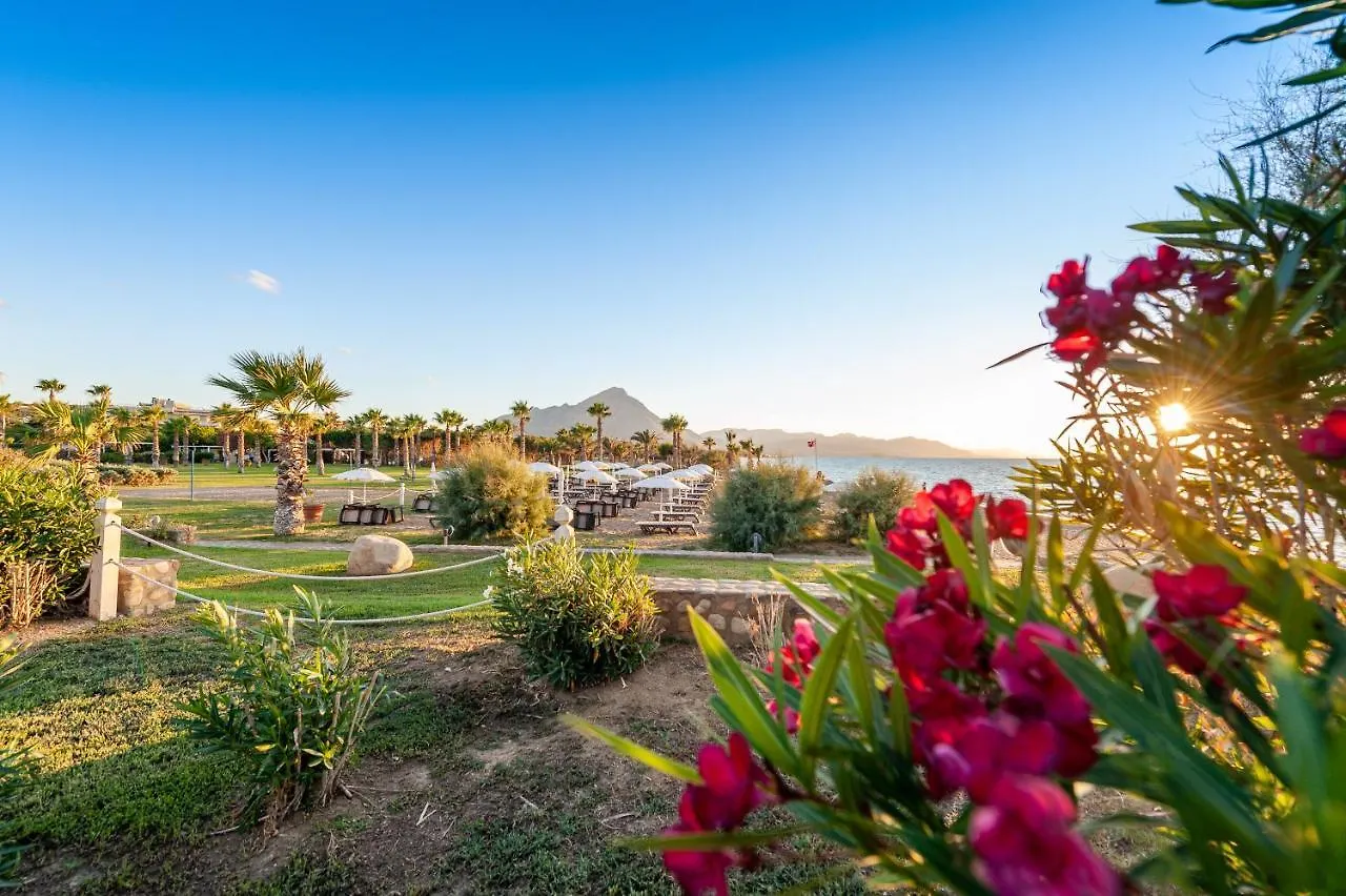 Acacia Resort Parco Dei Leoni Campofelice Di Roccella Hotel